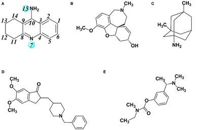 Molecular Dynamics Revealing a Detour-Forward Release Mechanism of Tacrine: Implication for the Specific Binding Characteristics in Butyrylcholinesterase